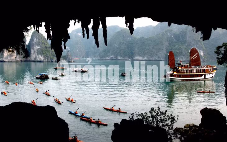 Hang Bồ Nâu. Ảnh: Đỗ Giang