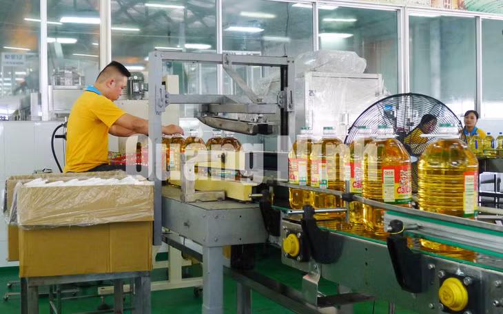 Đóng gói sản phẩm tại Công ty TNHH Dầu thực vật Cái Lân (10-2018). Ảnh Cao Quỳnh