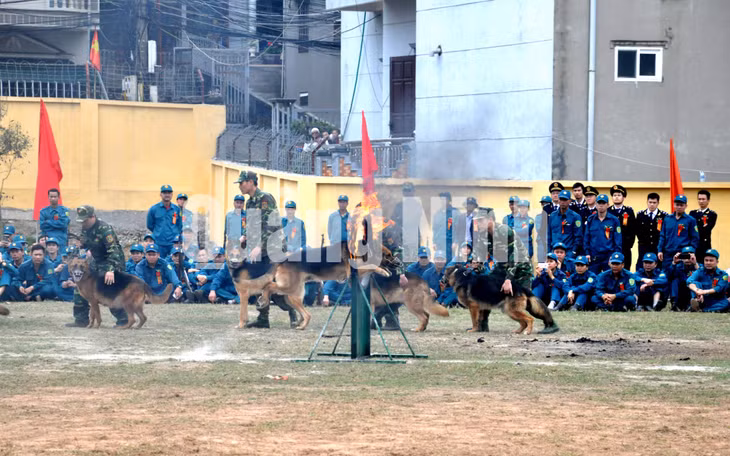 Lực lượng Bộ đội Biên phòng tỉnh biểu diễn huấn luyện cảnh khuyển tại lễ ra ra quân huấn luyện của Bộ CHQS tỉnh – BĐBP tỉnh năm 2018 (1-3-2018). Ảnh: Lưu Linh