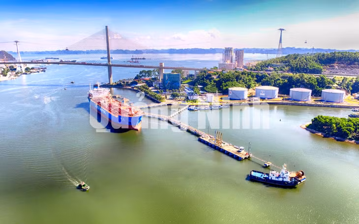 Nằm ngay dưới chân cầu Bãi Cháy, Cảng dầu B12 của Công ty Xăng dầu B12, là cảng dầu lớn nhất miền Bắc (8-2017). Ảnh: Hùng Sơn