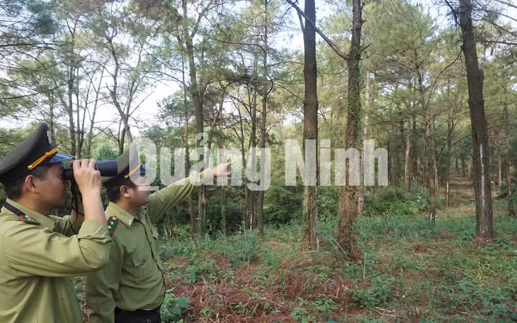 Kiểm lâm huyện Hoành Bồ tuần tra, kiểm soát rừng tại thôn Yên Mỹ, xã Lê Lợi (huyện Hoành Bồ). Ảnh: Minh Đức