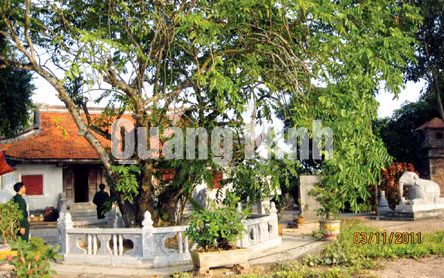Các Di tích lịch sử - đền, chùa tiêu biểu ở Quảng Ninh ảnh 11
