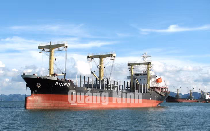 Tàu chở gỗ 8.700 tấn xuất khẩu cho Nhật Bản năm 2007.