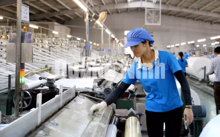 Sản xuất bao bì tại Công ty Vinanewtarp tại Khu công nghiệp Cái Lân (5-2018). Ảnh: Hùng Sơn