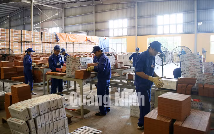 Công ty Cổ phần Viglacera Hạ Long (phường Hà Khẩu, TP Hạ Long) ảnh 7