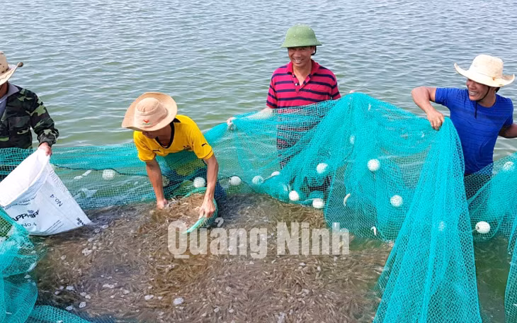 Nuôi tôm nước lợ tại Phường Hải Hòa, TP Móng Cái (3-2019). Ảnh: Hà Chi