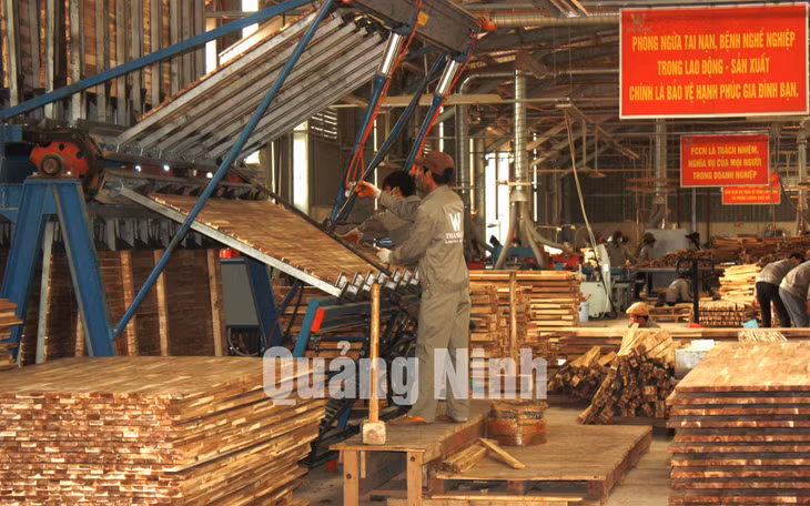 Chế biến sản xuất gỗ tại Công ty TNHH Thanh Lâm.