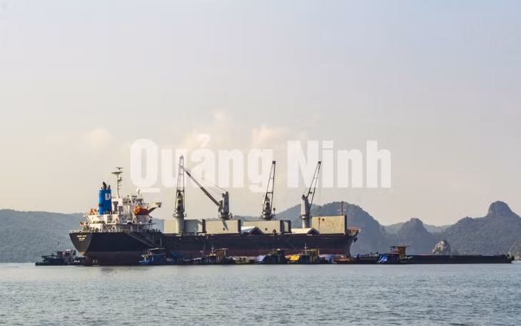 Những con tàu chờ than ảnh 7