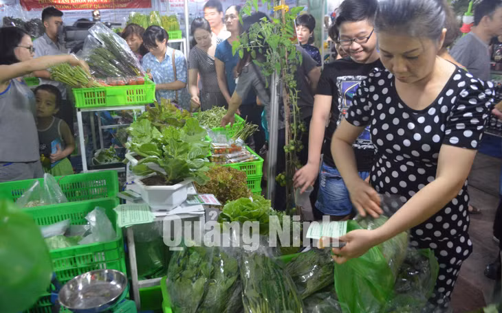 Sản phẩm rau sạch của Công ty CP Đầu tư Song Hành Quảng Ninh được bày bán tại hội chợ OCOP Quảng Ninh. Ảnh: Cao Quỳnh