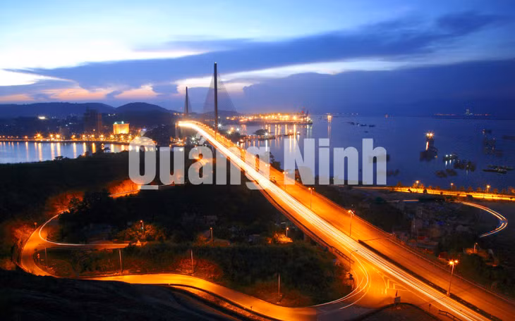 Cây đàn Hạ Long. Ảnh: Dương Phượng Đại