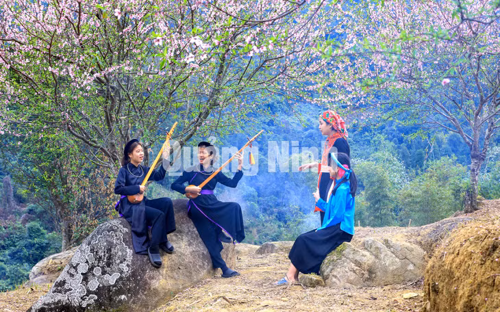Thiếu nữ dân tộc Tày (huyện Bình Liêu) chơi đàn tính, hát then bên vườn đào (3-2021). Ảnh: Dương Phương Đại