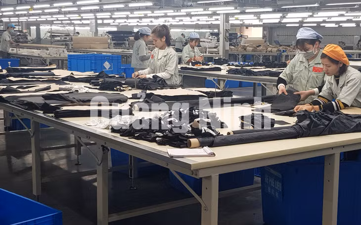 Sản xuất tại Công ty TNHH May mặc Hoa Lợi Đạt Việt Nam (2-2019). Ảnh: Thái Cảnh