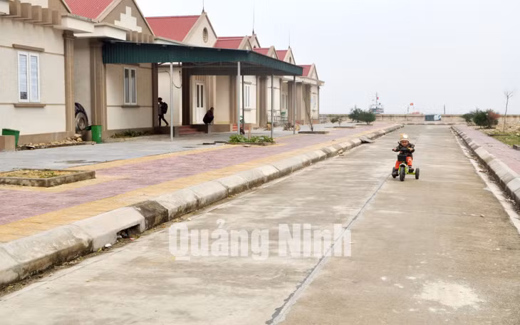 Làng mới đảo Trần (1-2018). Ảnh: Hoàng Quỳnh
