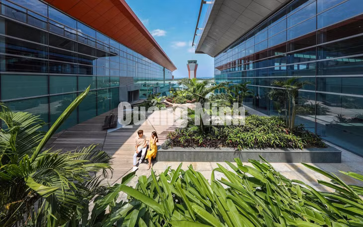 Không gian xanh tại Cảng hàng không quốc tế Vân Đồn (10-2019). Ảnh: Đỗ Phương