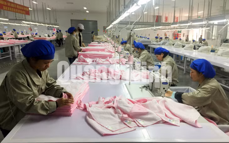 Sản xuất khăn tắm, khăn mặt cao cấp tại Công ty TNHH Đại Đông Việt Nam (KCN Texhong Hải Hà) (1-2018). Ảnh: Hữu Việt