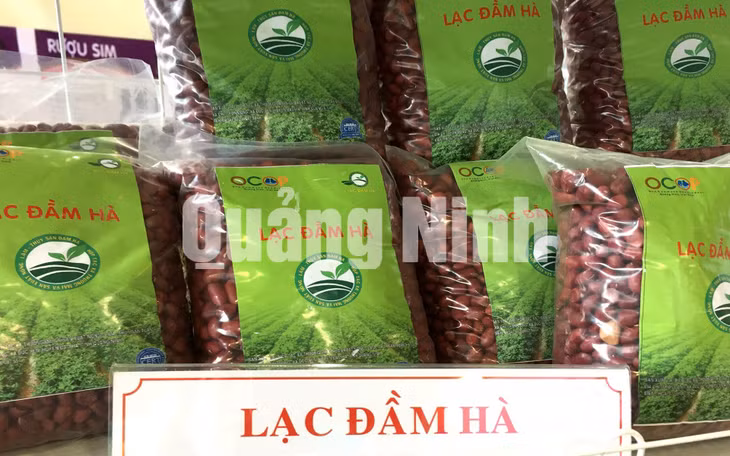 Lạc Đầm Hà. Ảnh Cao Quỳnh