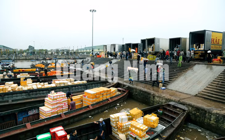 Xuất khẩu hàng thủy sản tại Cảng ICD Thành Đạt (8-2019). Ảnh: Hữu Việt
