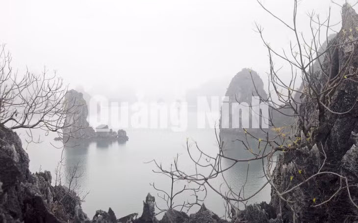 Vịnh Hạ Long mùa đông. Ảnh: Đỗ Giang