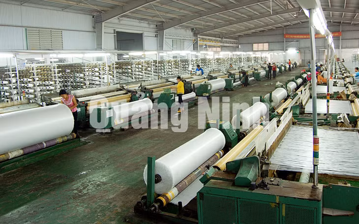 Sản xuất bạt tại Công ty TNHH Vina New Tapra (7-2020). Ảnh: Minh Đức