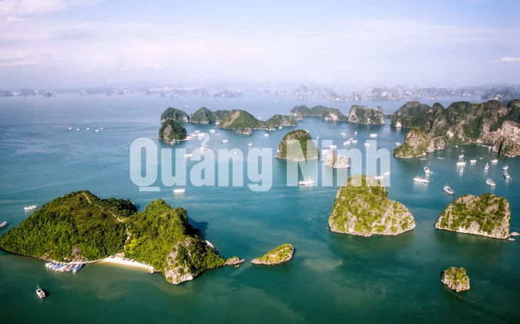Vịnh Hạ Long. Ảnh: Đỗ Giang