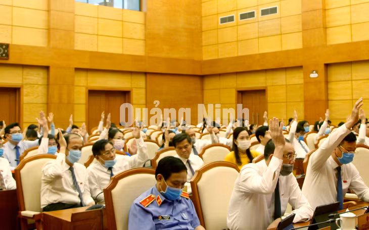 Các đại biểu biểu quyết thông qua các Nghị quyết (9-2020). Ảnh: Thu Chung