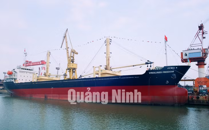 Tàu trọng tải 12.500 tấn Vinalines Freendom.