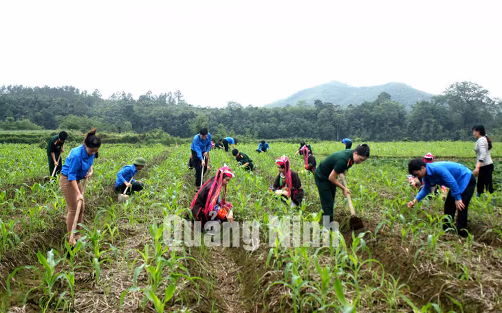 Cán bộ, chiến sĩ Đồn Biên phòng Bắc Sơn giúp nhân dân thôn Phình Hồ, xã Bắc Sơn, TP Móng Cái phát triển sản xuất (7-2019). Ảnh: Hữu Việt