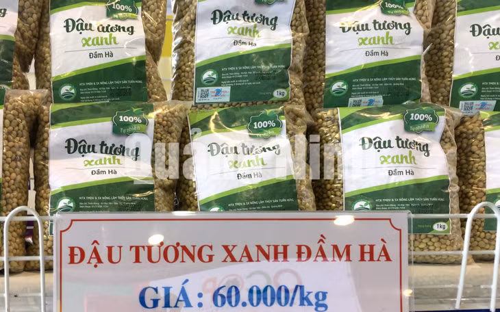 Đậu tương xanh Đầm Hà của HTX TMDV và SX Nông Lâm Tuấn Hùng. Ảnh: Cao Quỳnh