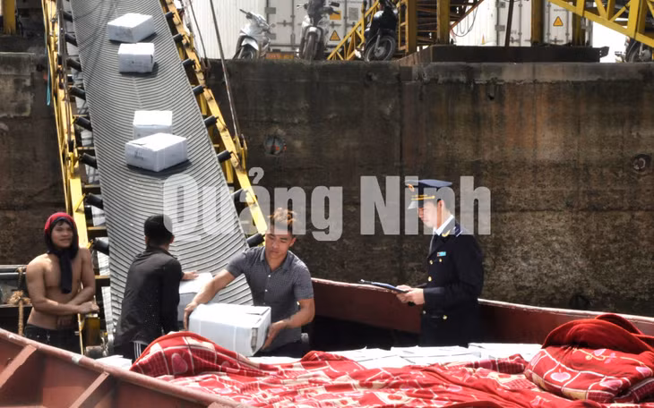 Cán bộ Chi cục Hải quan Cửa khẩu Móng Cái kiểm tra hoạt động xuất khẩu tại Cảng ICD Thành Đạt. Ảnh: Hữu Việt