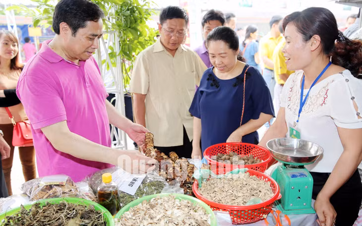 Đồng chí Phạm Minh Chính, Ủy viên Bộ Chính trị, Bí thư Trung ương Đảng, Trưởng Ban Tổ chức Trung ương thăm Hội chợ OCOP Quảng Ninh hè 2016. Ảnh: Đỗ Phương
