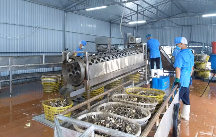 Công ty BAVABI (huyện Vân Đồn) đầu tư máy móc hiện đại nâng cao năng suất chế biến thủy sản.