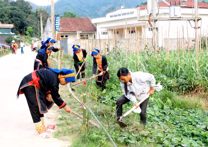 Phụ nữ thôn Nà Bắp, xã Đồn Đạc, huyện Ba Chẽ triển khai hiệu quả phong trào "Ngày Chủ nhật xanh".