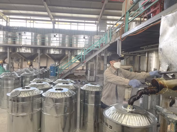 Sản xuất tùng hương tại Công ty CP Thông Quảng Ninh (TP Uông Bí).