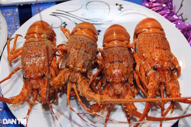 Hay ở đây cũng bán tôm hùm tươi sống với giá chừng 600.000 - 700.000 đồng/kg.