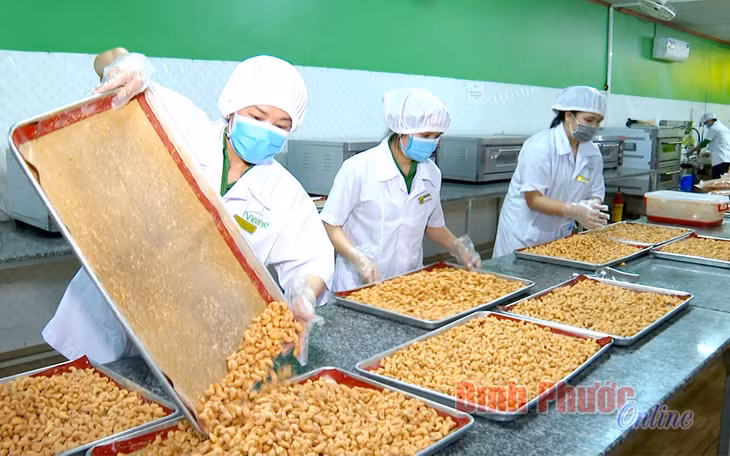Công ty TNHH Vinahe (TX. Phước Long) xem thương mại điện tử là cơ hội để doanh nghiệp bứt phá, tạo ra những chiến lược kinh doanh mới