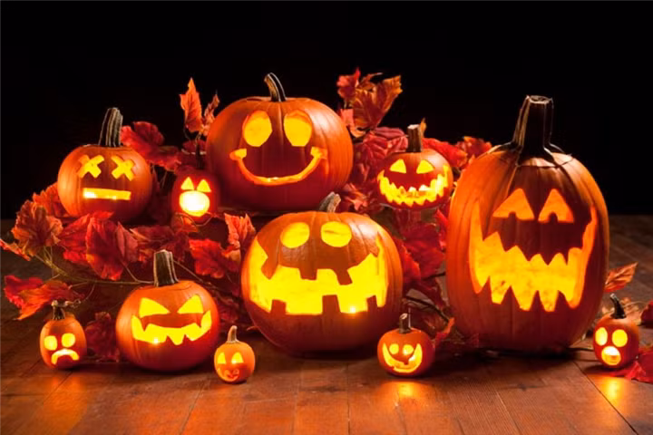 Bí ngô - biểu tượng của lễ hội Halloween - được trang trí với nhiều khuôn mặt đáng sợ.