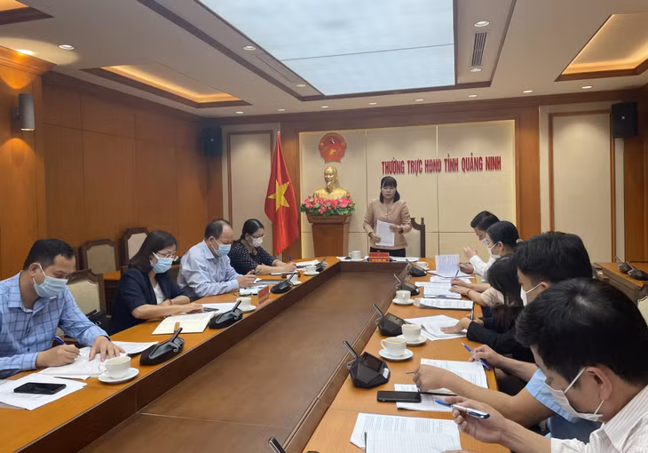 Đồng chí Vũ Thị Diệu Linh, Trưởng Ban Văn hóa – Xã hội HĐND tỉnh phát biểu tại buổi làm việc.