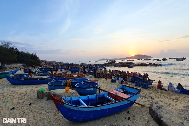 Và cùng hòa vào nhịp sống, mưu sinh của người dân làng chài này.