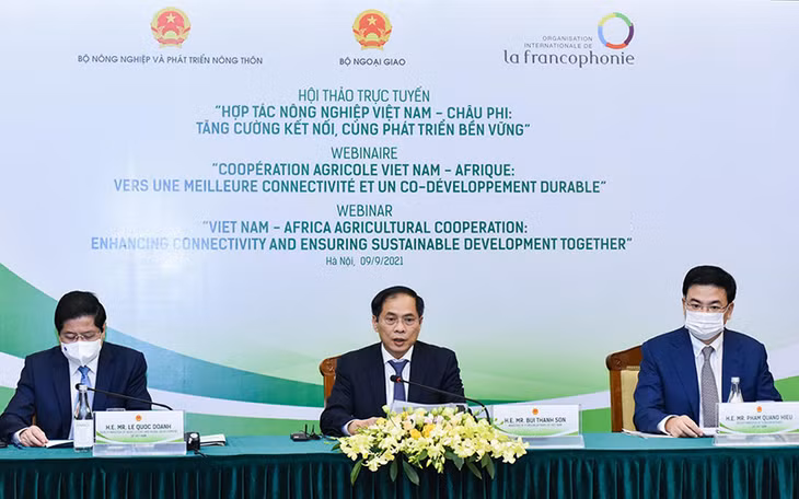 Hội thảo về hợp tác nông nghiệp Việt Nam - châu Phi hồi tháng 9/2021.