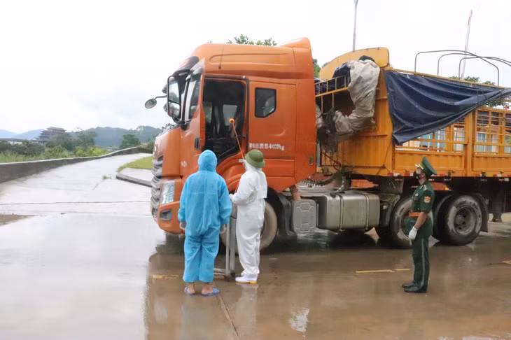 Lực lượng chức năng tại Cửa khẩu Hoành Mô tiến hành phun khử trùng các phương tiện ra, vào cửa khẩu.