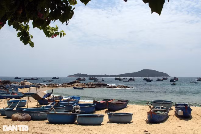 Ngoài ra, làng chài An Hải còn có một bãi biển với làn nước trong xanh, mát lạnh.