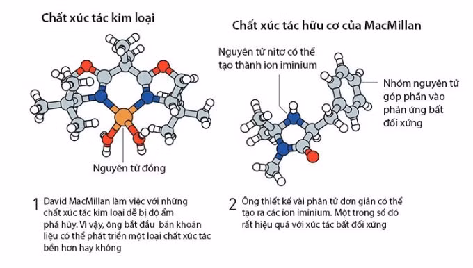 Minh họa chất xúc tác kim loại và chất xúc tác hữu cơ của David MacMillan. Nguồn: RSAS