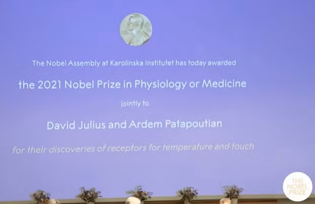 Hai nha khoa hoc duoc vinh danh voi giai Nobel Y Sinh 2021 hinh anh 1