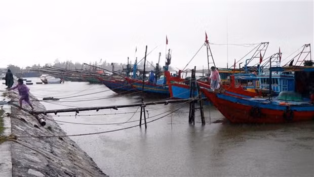 Yeu cau cac dia phuong chu dong ung pho voi ap thap nhiet doi hinh anh 1