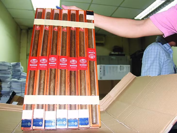 Nhiều điếu xì gà dài gần 50cm bị thu giữ. Ảnh: T.B