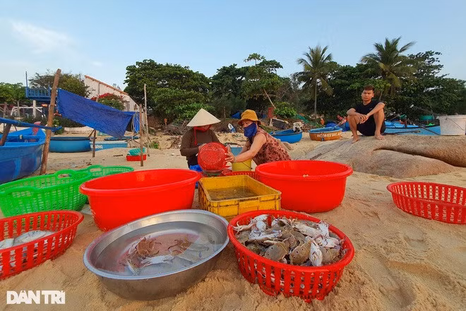 Hải sản ở làng chài An Hải được đánh bắt trong ngày nên rất tươi và giá cả "phải chăng".