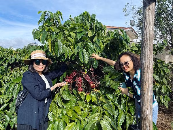 Du khách thích thú trải nghiệm du lịch nông nghiệp Việt Nam. Ảnh: VGP/Thu Hồng Du khách thích thú trải nghiệm du lịch nông nghiệp Việt Nam. Ảnh: VGP/Thu Hồng