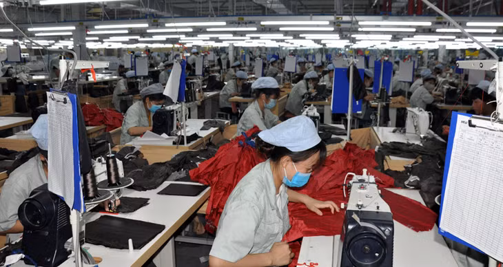 Sản xuất quần áo tại Công ty TNHH may mặc Hoa Lợi Đạt Việt Nam, KCN Cảng biển Hải Hà.