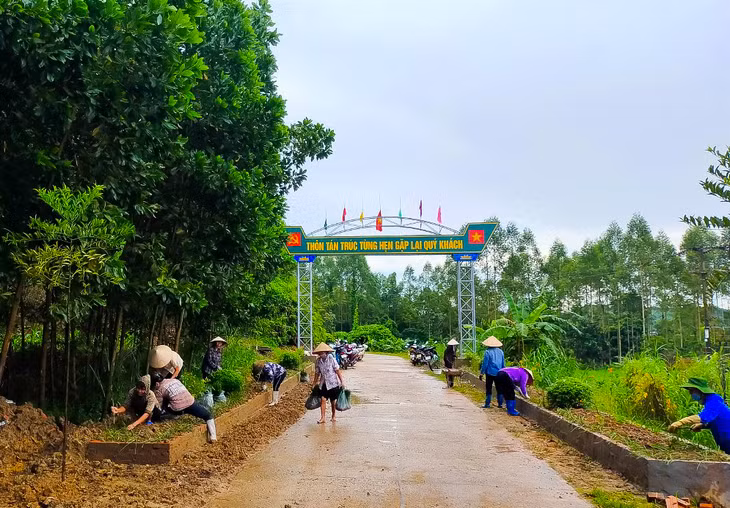 Người dân thôn Tán Trúc Tùng (xã Quảng An) ra quân trồng cây xanh, dọn vệ sinh môi trường, xây dựng nông thôn mới.