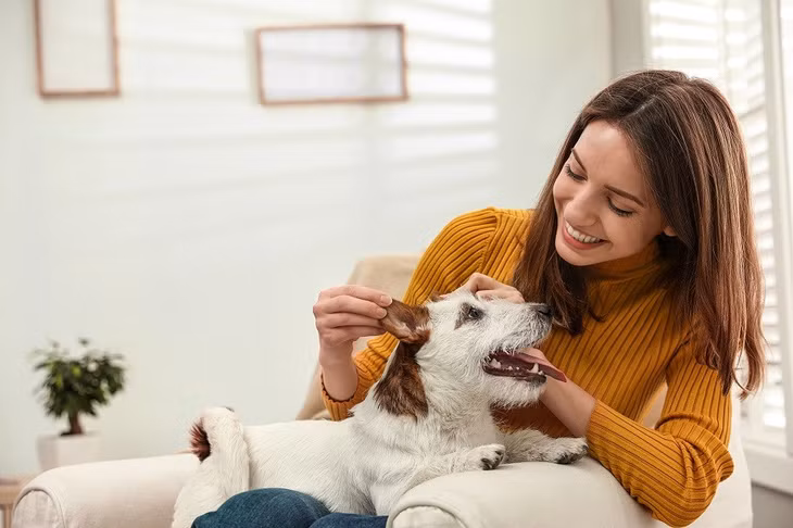Vật nuôi có thể giúp thiết lập một thói quen lành mạnh vào buổi sáng và trước khi đi ngủ.
